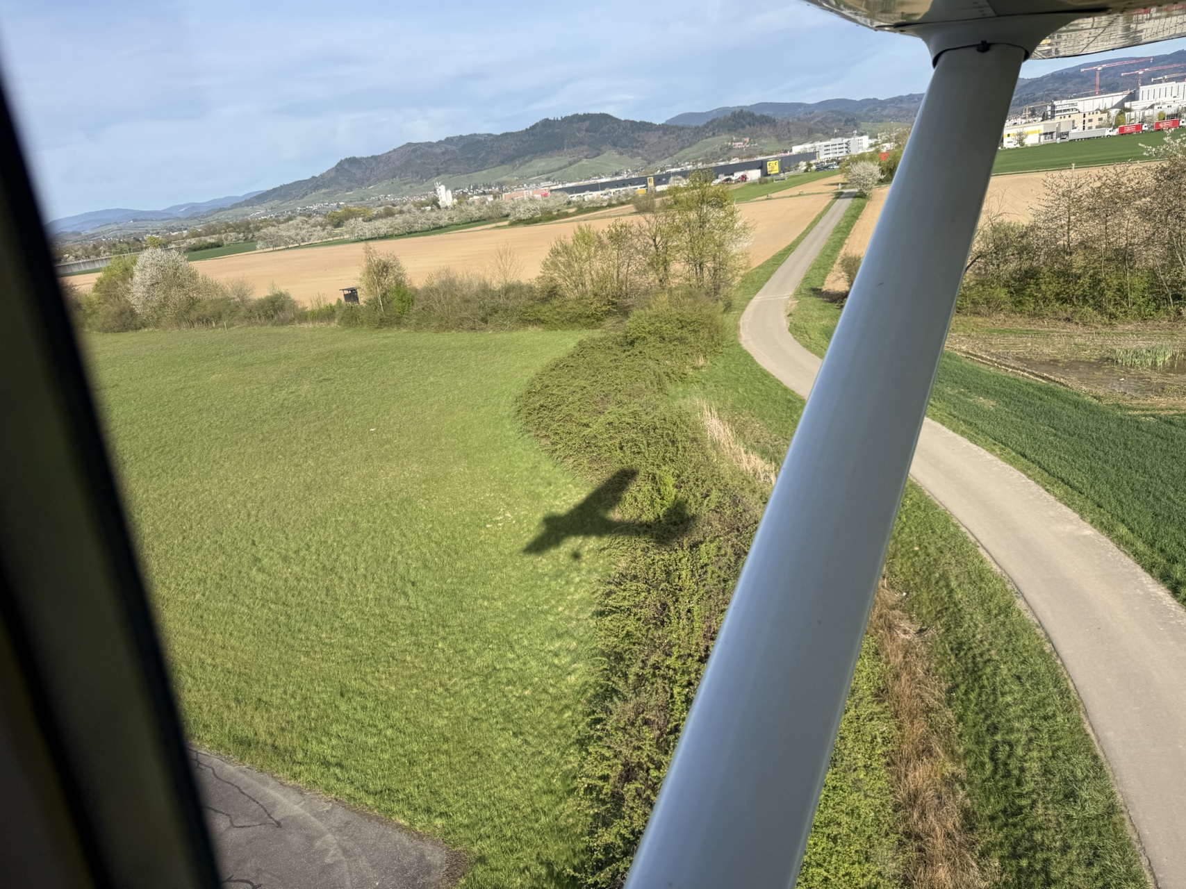 Drachenkoenig